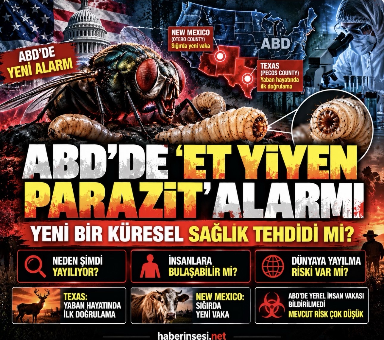 ABD'de et yiyen parazit alarmı